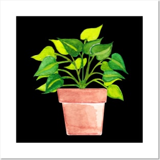 Bare Root Philodendron Brazil/Pothos Plant Posters and Art